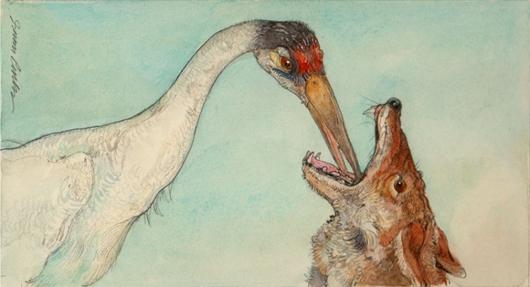 source of image: http://www.rmichelson.com/wp-content/uploads/2014/10/AF-The-Wolf-And-The-Crane-4_75x8_75.jpg
